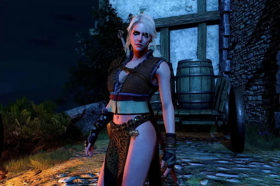 Witcher 3 DLC